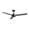 CEILING FAN  BEACON CALYPSO(80213017) BLACK